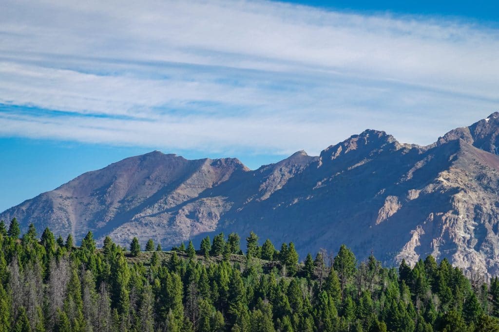 Idaho Home Inspector Insurance Requirements
