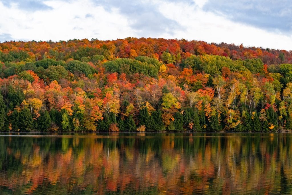 Vermont Home Inspector Insurance Requirements
