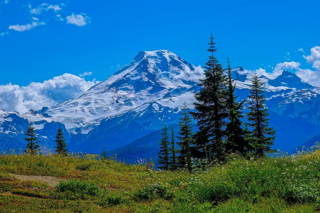 Washington Home Inspector Insurance Requirements