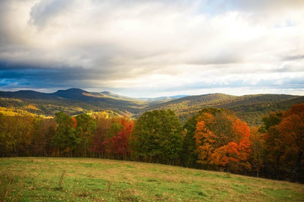 West Virginia Home Inspector Insurance Requirements