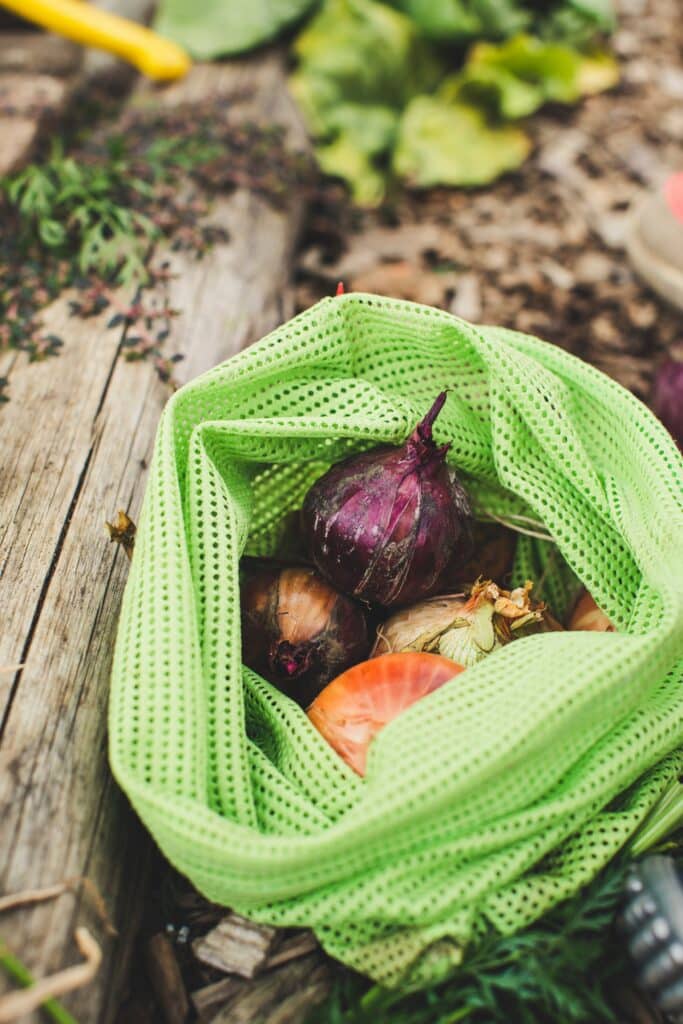 green bag collecting vegetables from garden