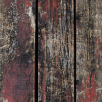 wood rot