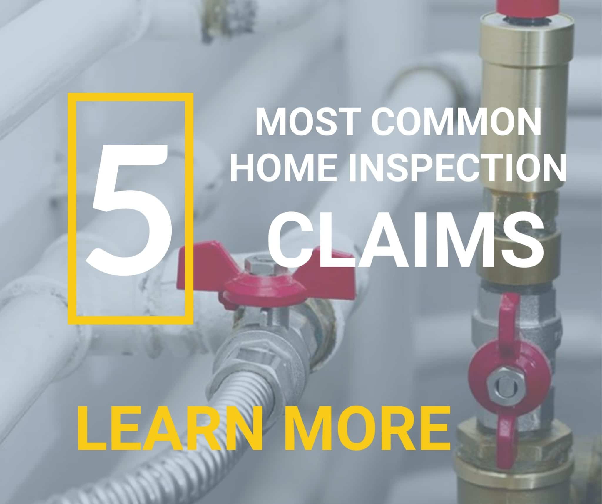 top claims