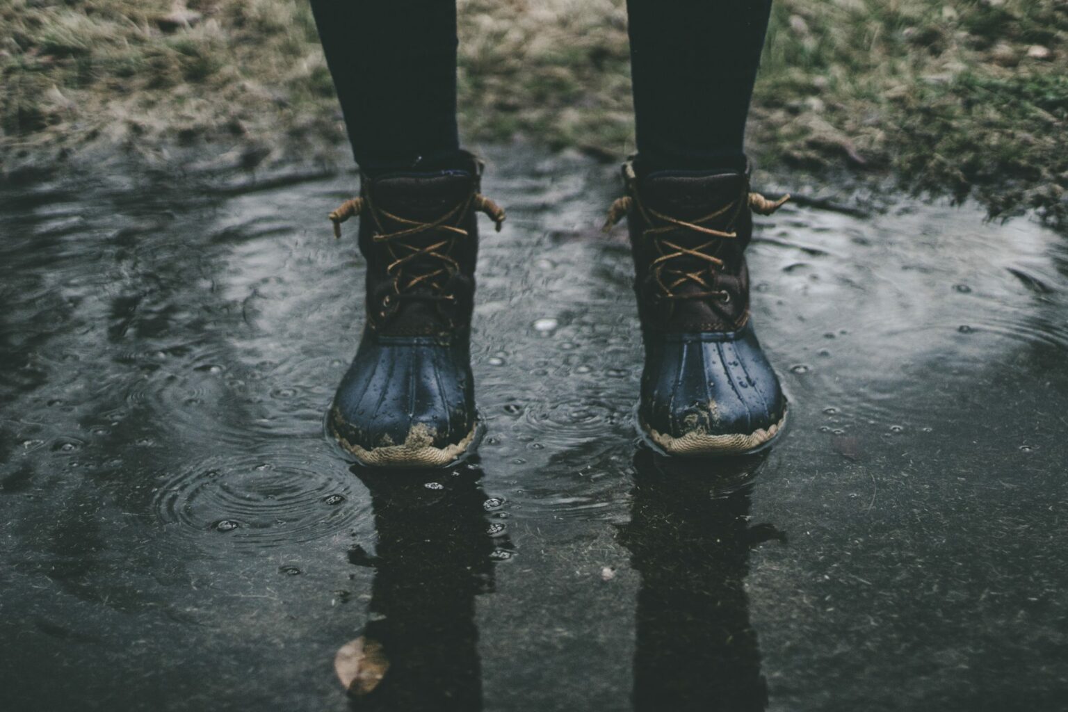 zach-reiner-5r0gH8Vb2_k-unsplash zach-reiner-5r0gH8Vb2_k-unsplash