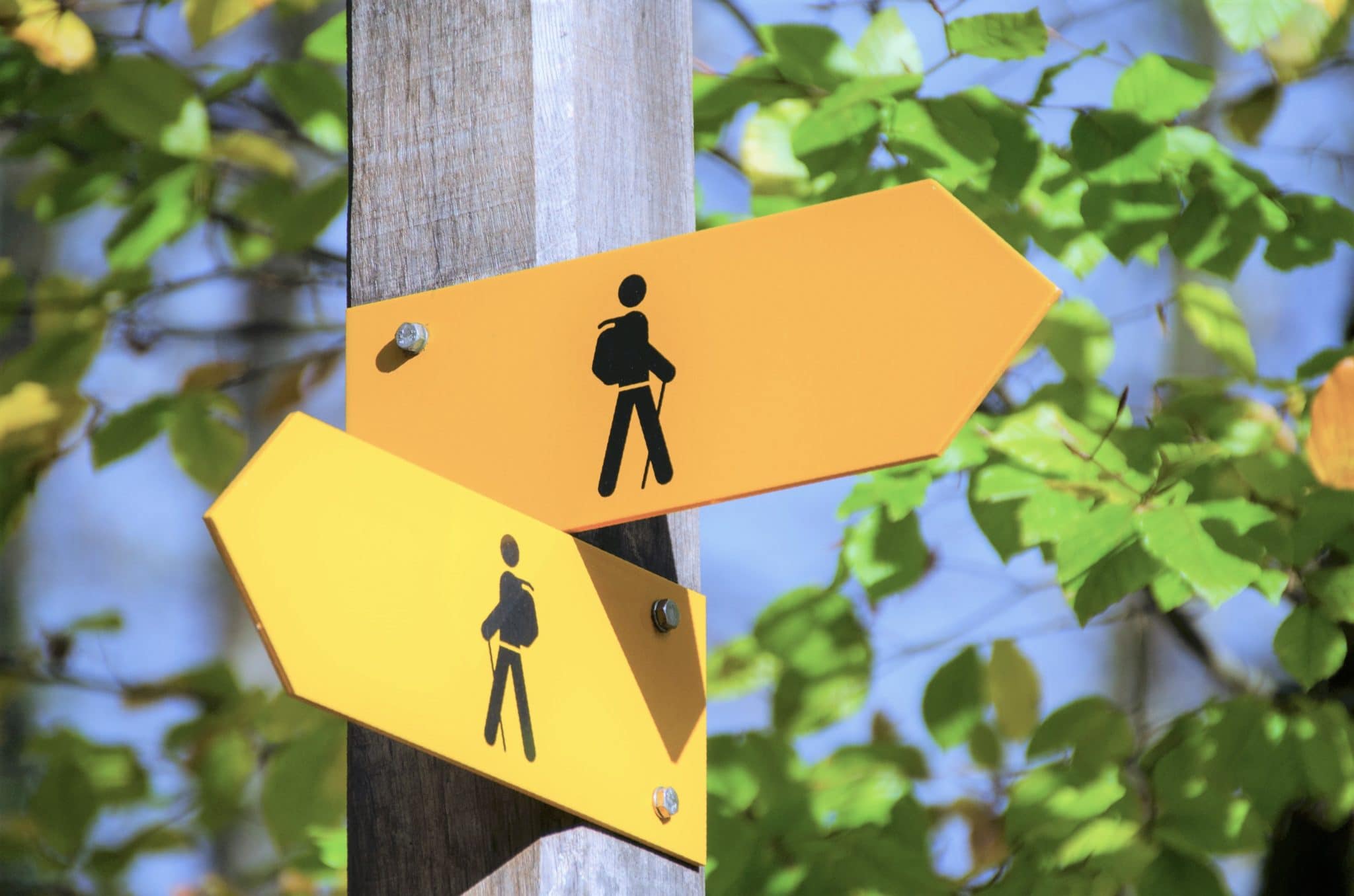 Signpost with two yellow arrows, one pointing left and the other pointing right, both displaying symbol of hiking person. Refers to alternatives to preliminary buyer walkthroughs.