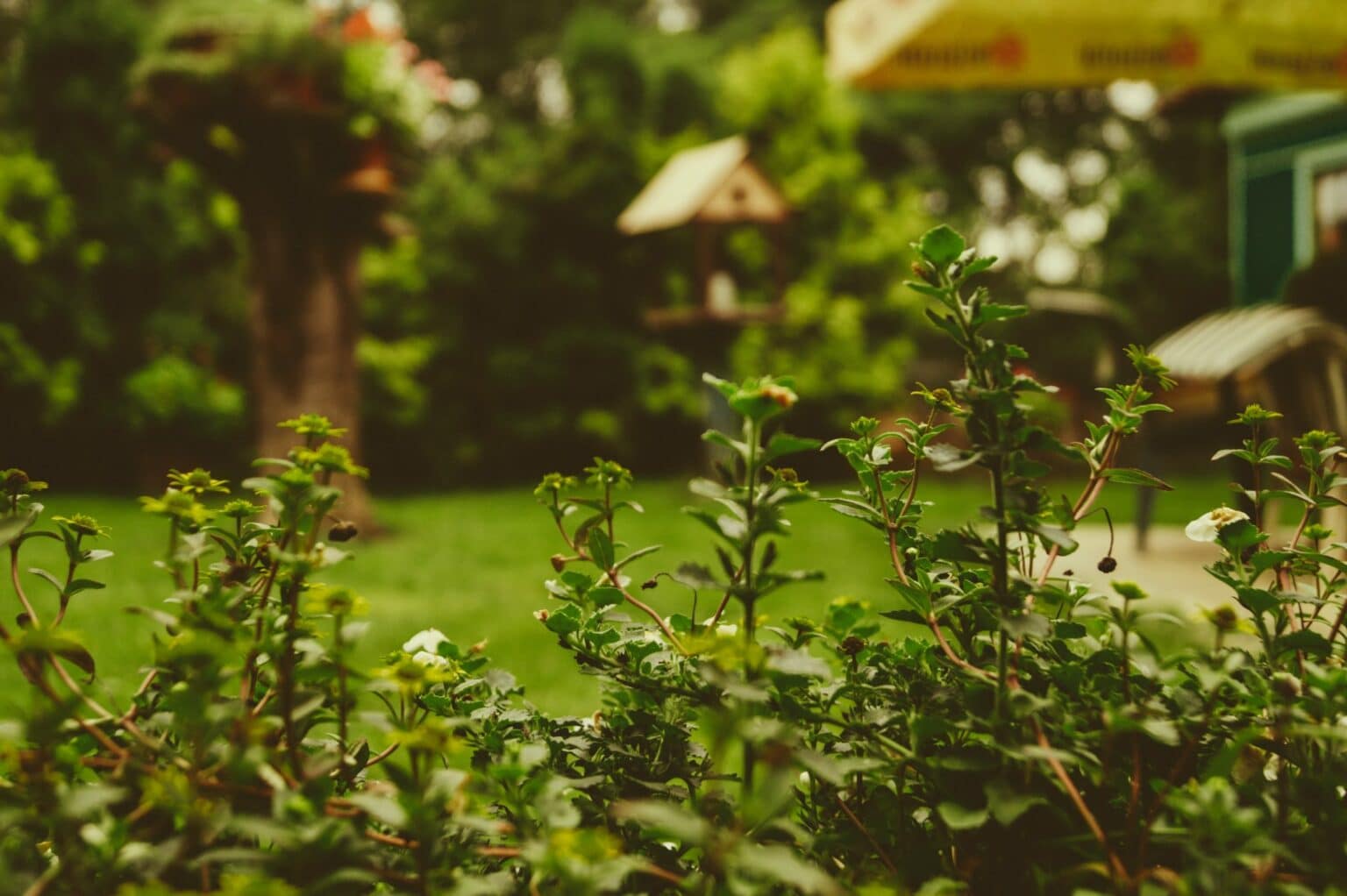 martin-knize-JjT_7MwREm4-unsplash septic inspection