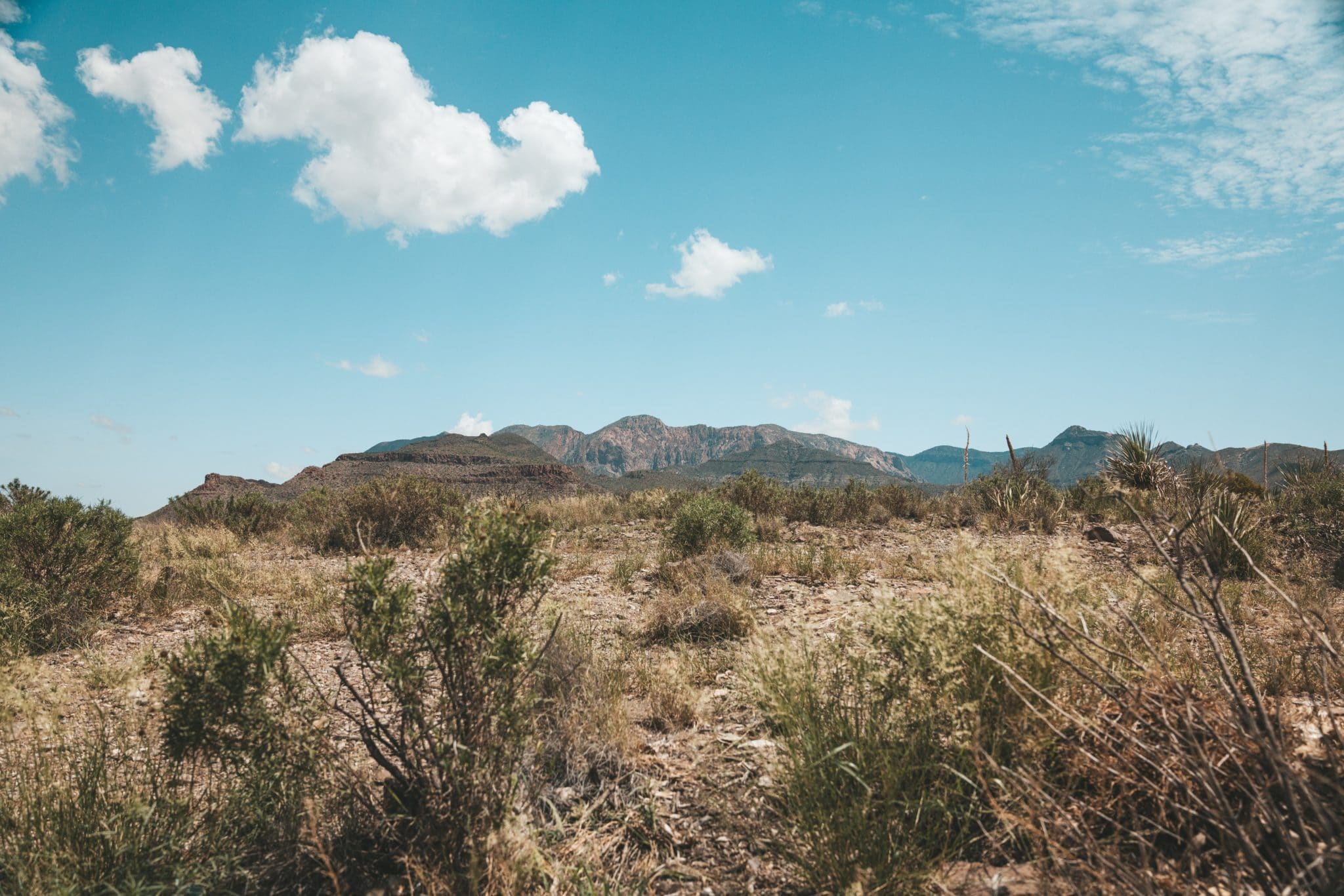 Image of Texas landscape, dessert and blue skies, for the Texas Inspectors Convention & Expo hosted by TPREIA-InterNACHI