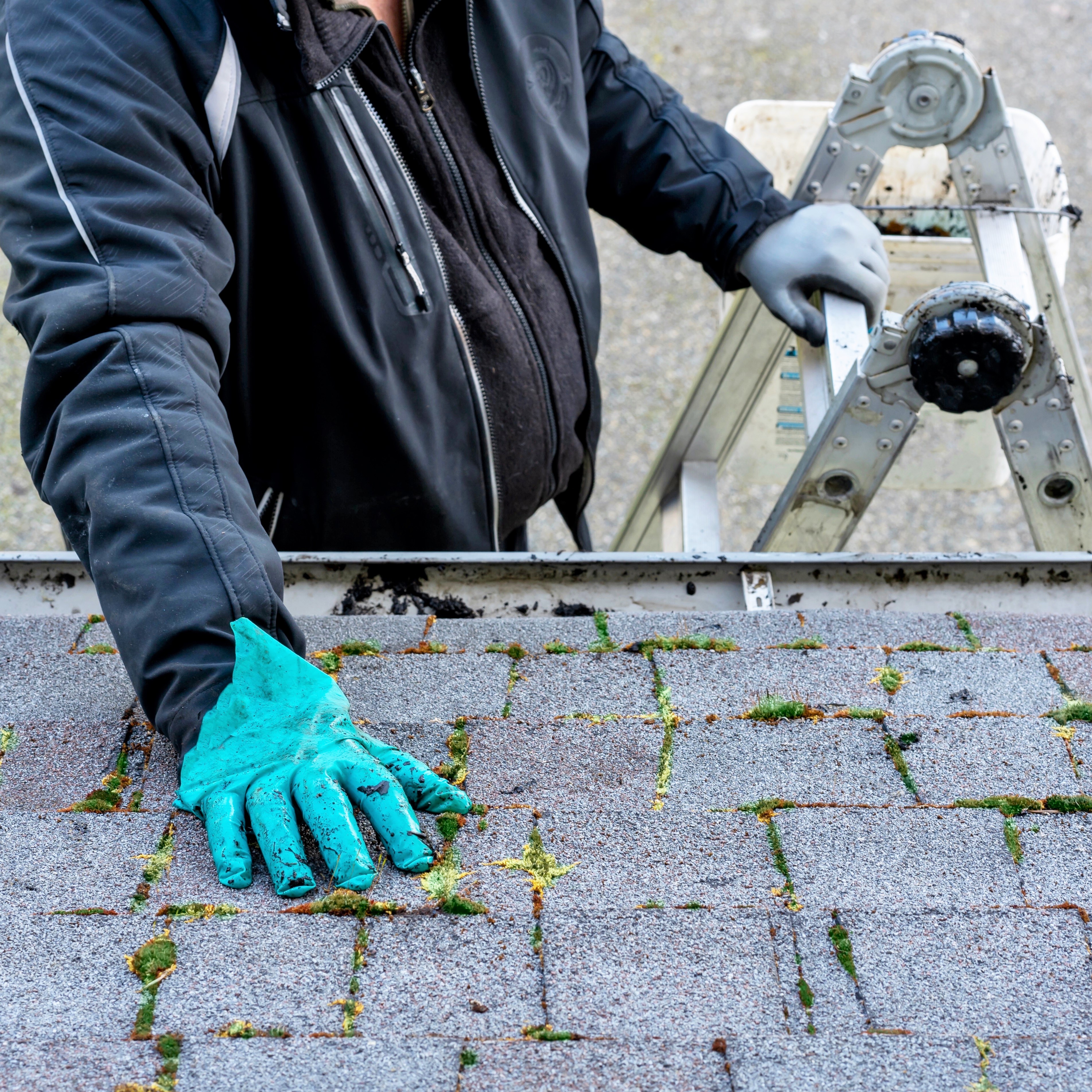Home inspector standing on a ladder, hand in blue (personal) protective gloves touching rooftop, wearing a black jacket. Face hidden from the camera frame.