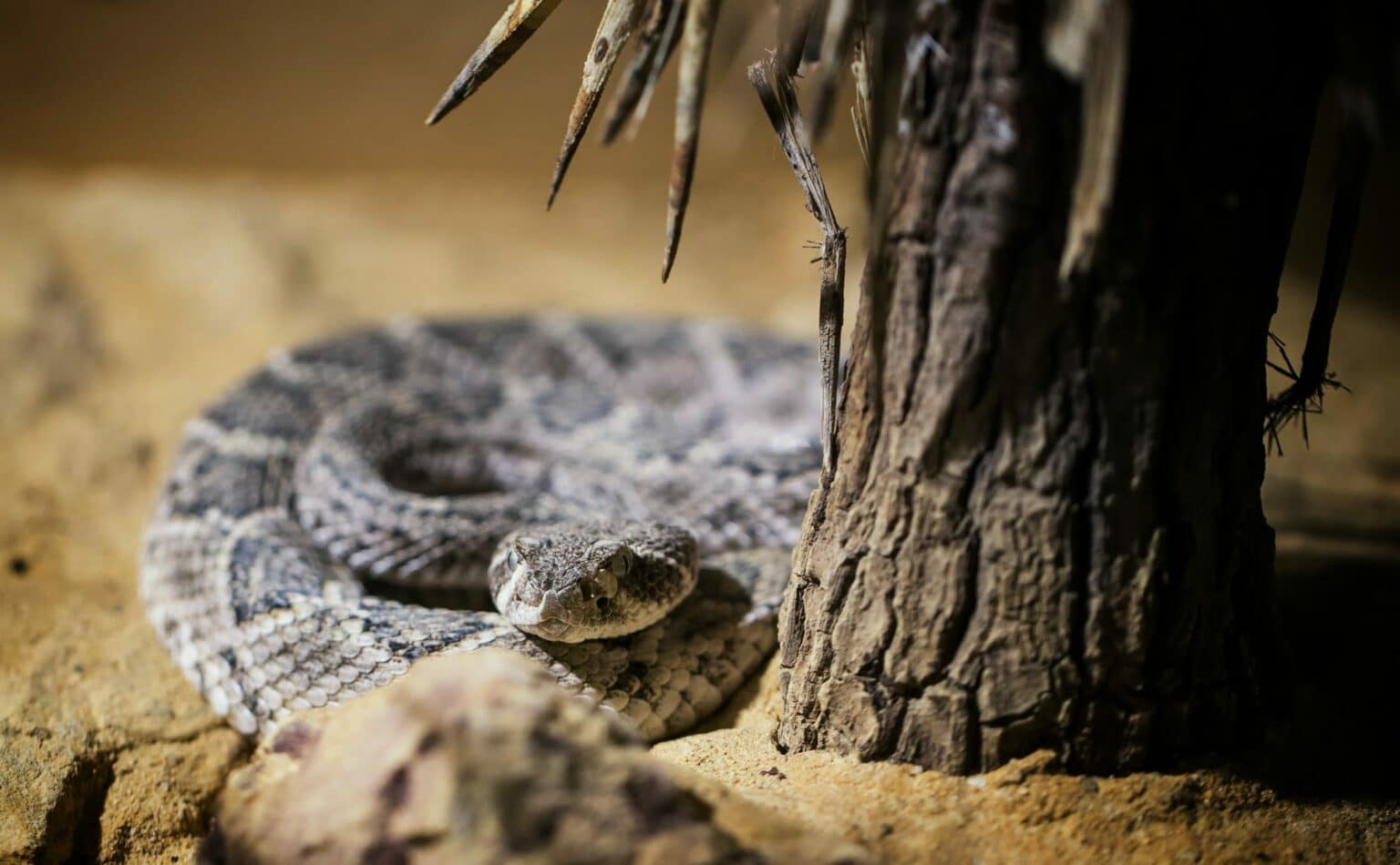 karl-ibri-1sVsV-D7OBA-unsplash karl-ibri-1sVsV-D7OBA-unsplash