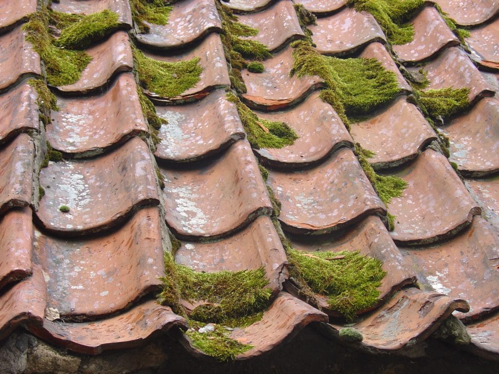 Faded, red roof shingles with vibrant, green moss growing on top