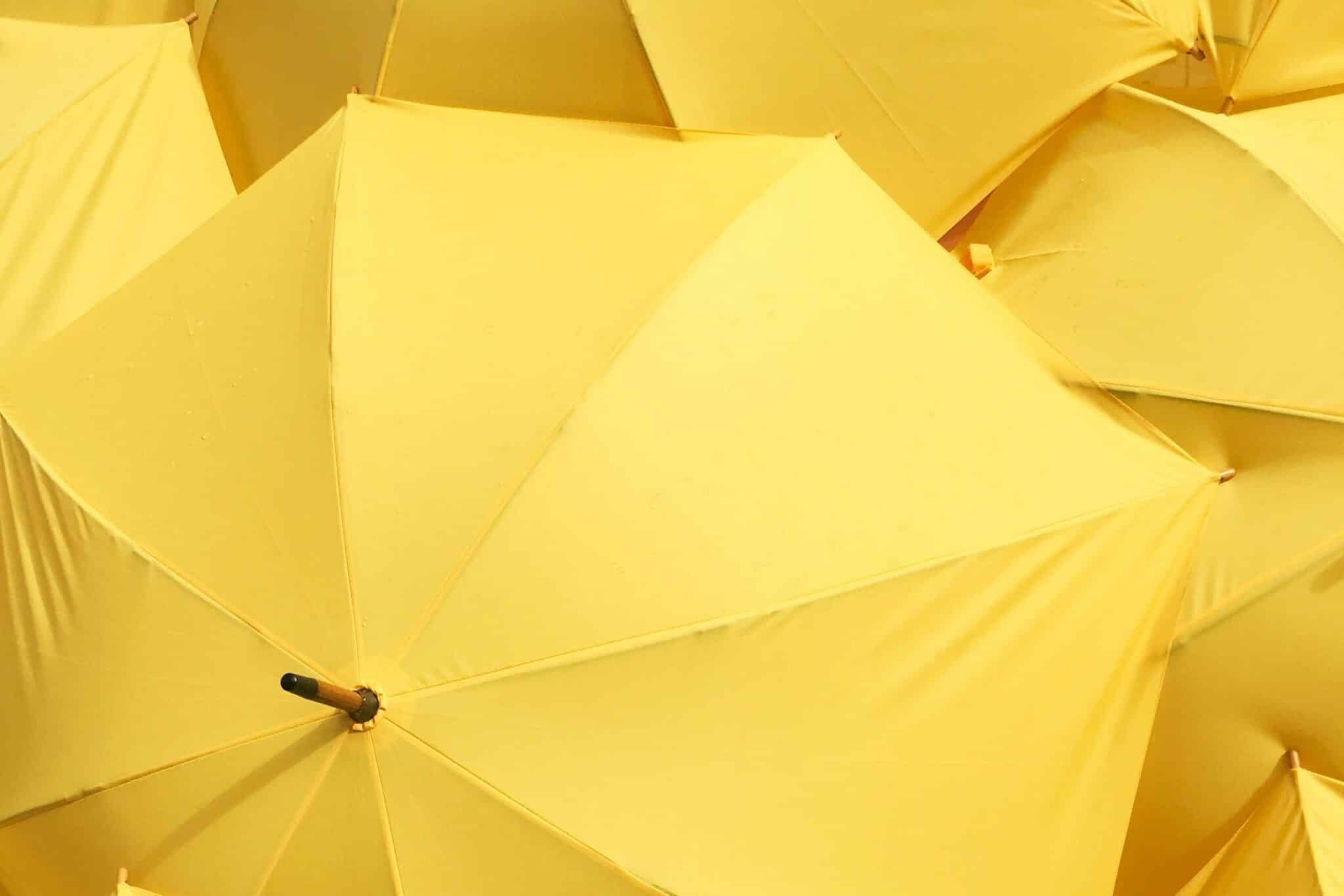 cluster of yellow umbrellas