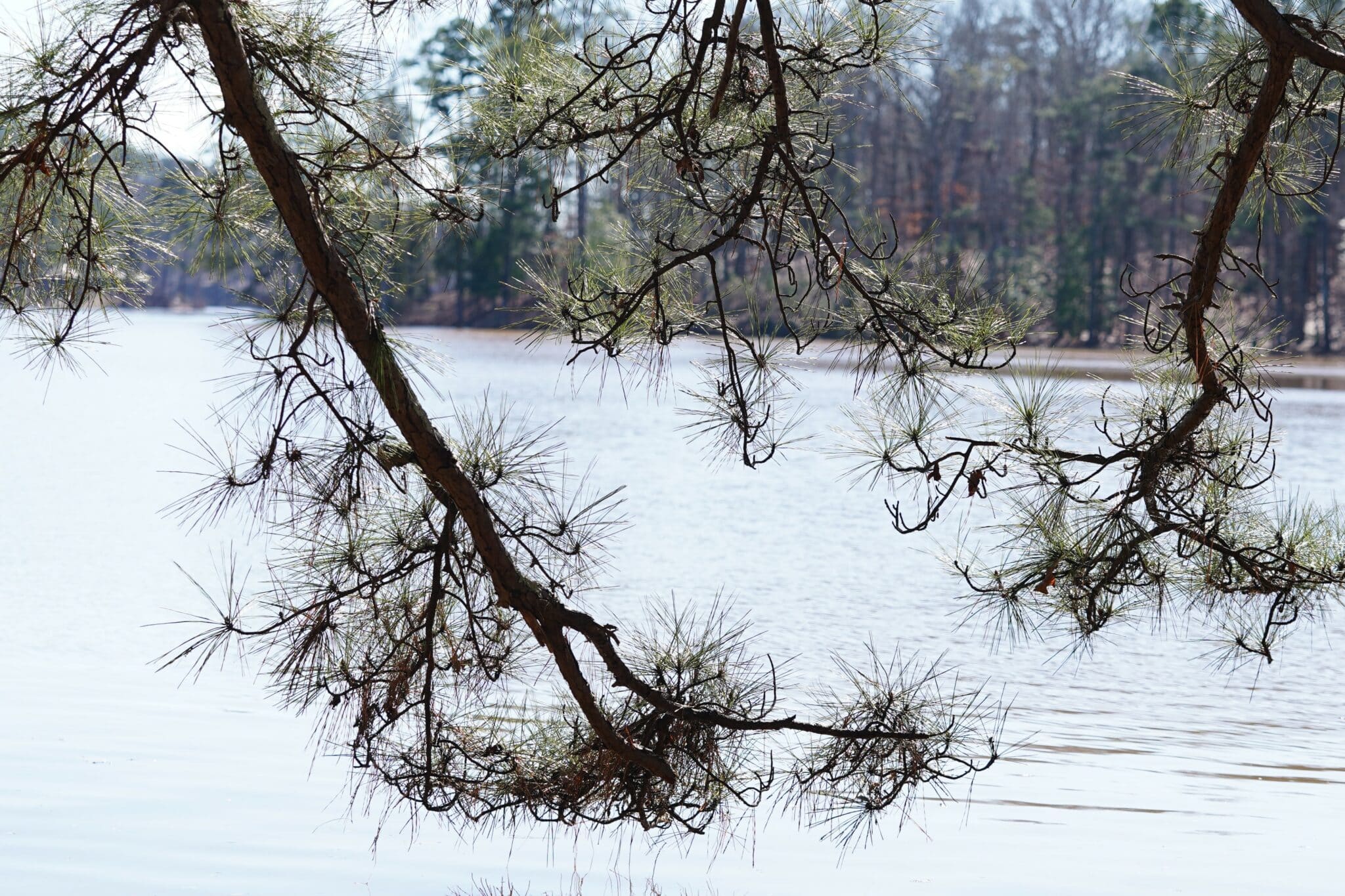 GAHI Stone Mountain Park, GA water close-up photo