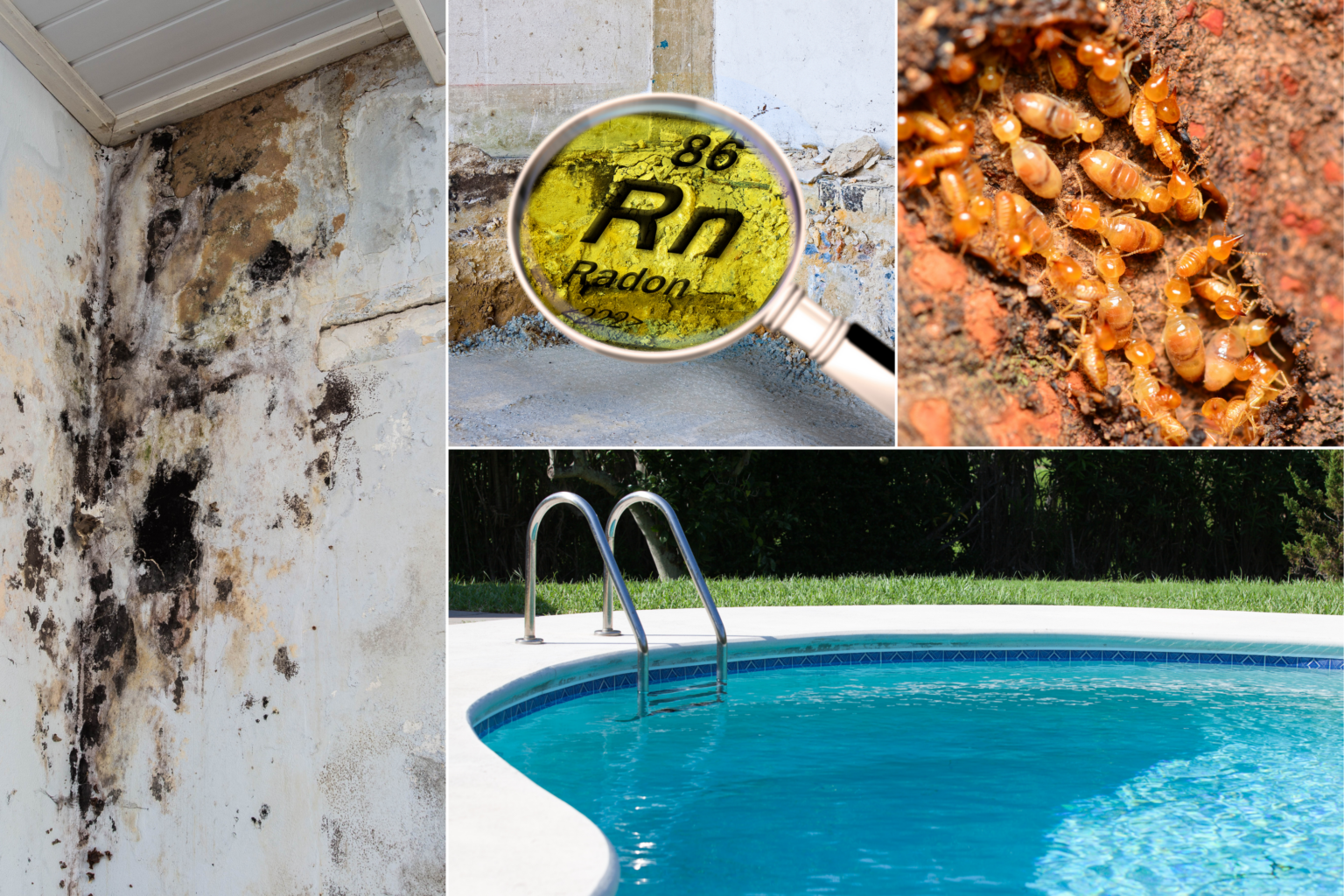 Photo collage of several home inspection additional services an inspector may offer: on the left, a wall of mold-like substances; in the center, a magnifying glass hovering over the chemical element Radon; to the right, a zoomed-in image of termites; and on the bottom, a pool with a ladder.