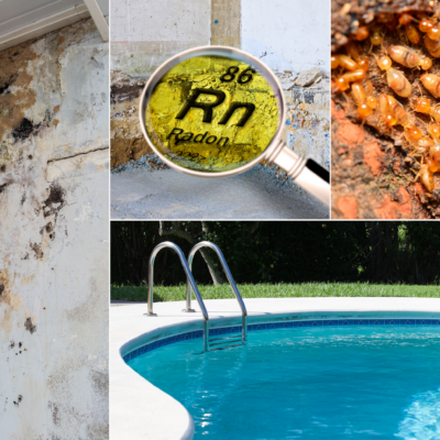 Photo collage of several home inspection additional services an inspector may offer: on the left, a wall of mold-like substances; in the center, a magnifying glass hovering over the chemical element Radon; to the right, a zoomed-in image of termites; and on the bottom, a pool with a ladder.