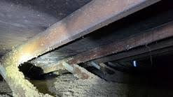 Mold on attic sheathing, which may indicate ventilation and insulation issues.
